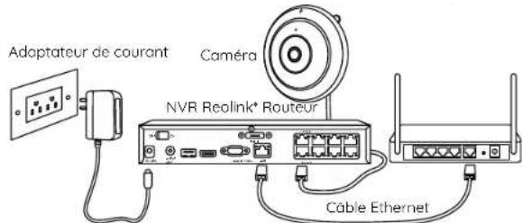 REOLINK FE-P - Schéma de connexion - 1