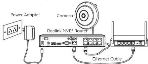 REOLINK FE-P - Connection Diagram - 1