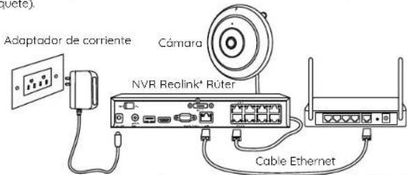 REOLINK FE-P - Diagrama de conexión - 1