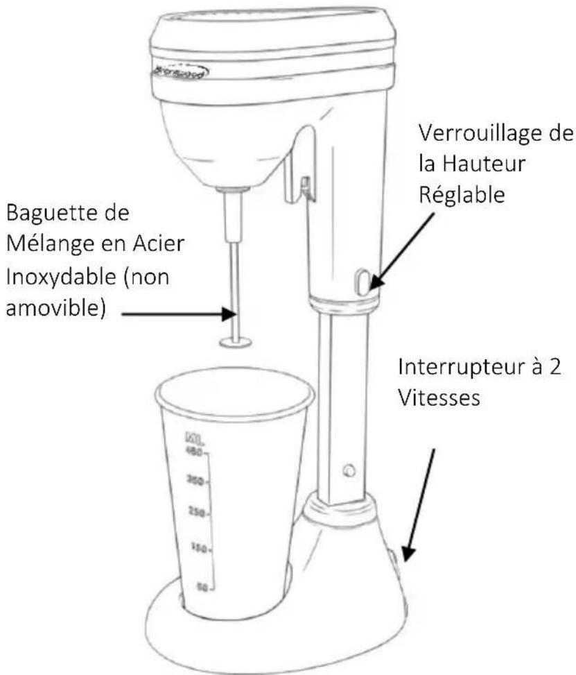 Baguette de Mélange en Acier Inoxydable (non amovible) Verrouillage de la Hauteur Réglable Interrupteur à 2 Vitesses