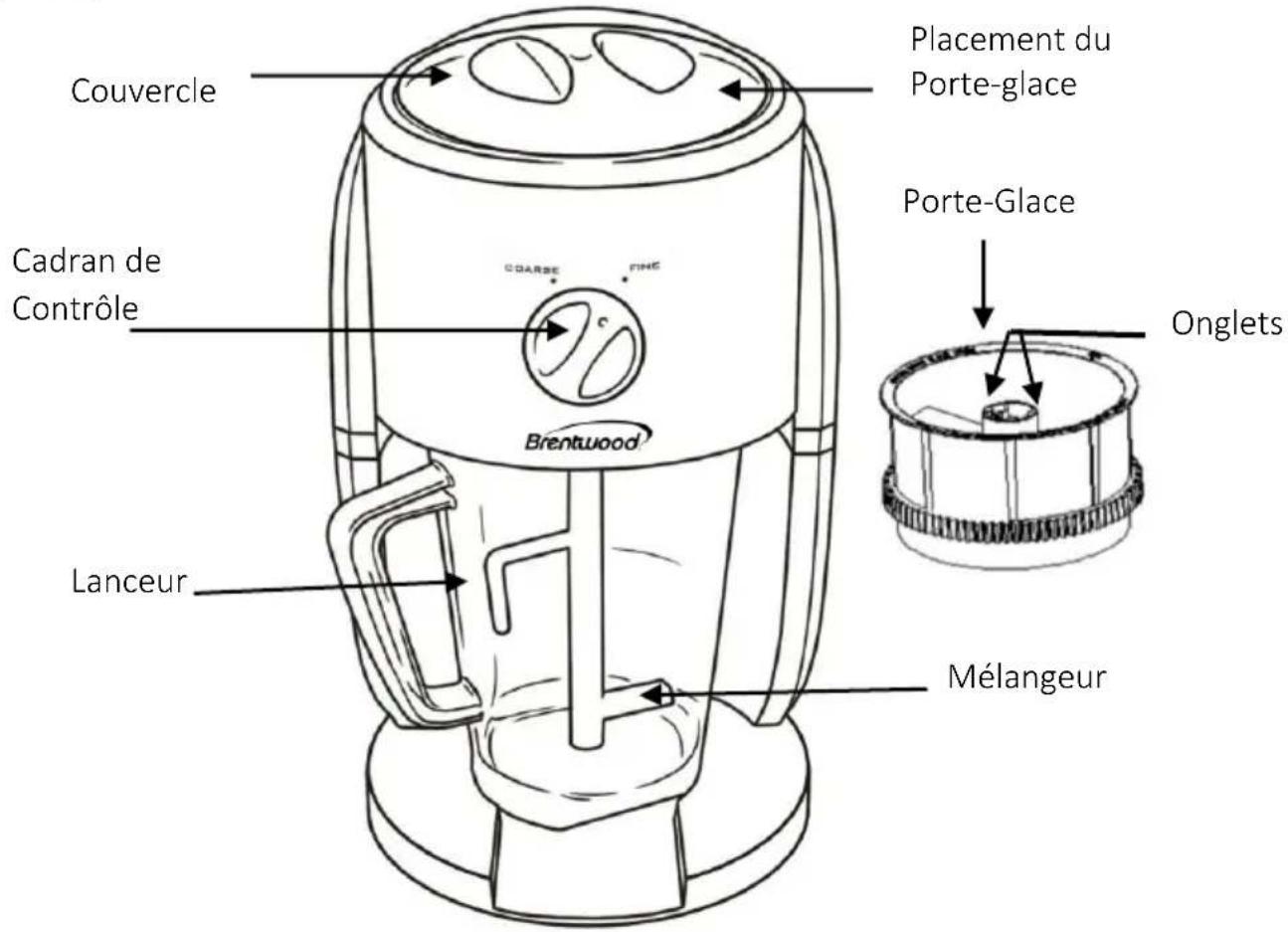 Couvercle Cadran de Contrôle Lanceur Brentwood Coarse Fine Placement du Porte-glace Porte-Glace Onglets Mélangeur