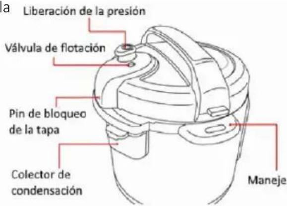 Brentwood EPC-636 - Antes del Primer Uso: - 1