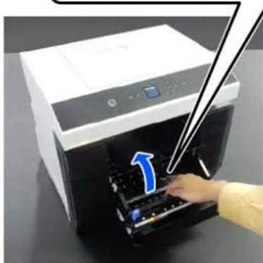 EPSON SureLab SL-D1000 - 8 - 1