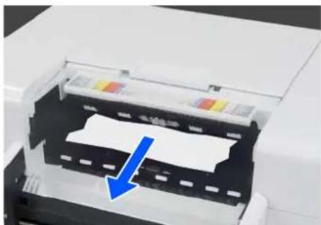 EPSON SureLab SL-D1000 - Retrait du papier coincé (feuilles de papier) - 1