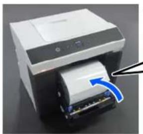 EPSON SureLab SL-D1000 - 1 - 1