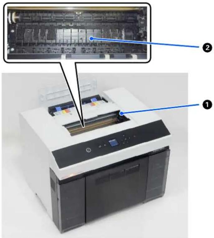 EPSON SureLab SL-D1000 - Zone de la Plaque d'exposition - 1