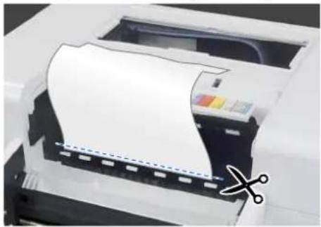 EPSON SureLab SL-D1000 - Retrait du papier coincé (papier rouleau) - 5