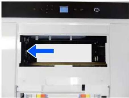 EPSON SureLab SL-D1000 - Retrait du papier coincé (papier rouleau) - 3