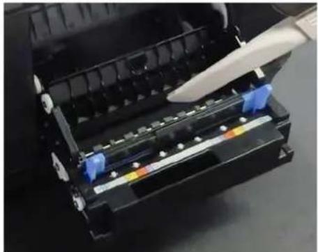 EPSON SureLab SL-D1000 - Comment nettoyer l'unité de papier en rouleau - 3