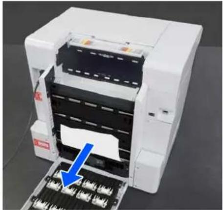 EPSON SureLab SL-D1000 - 1 - 3