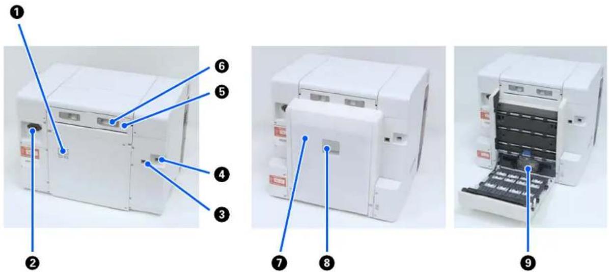 EPSON SureLab SL-D1000 - Arrière - 1
