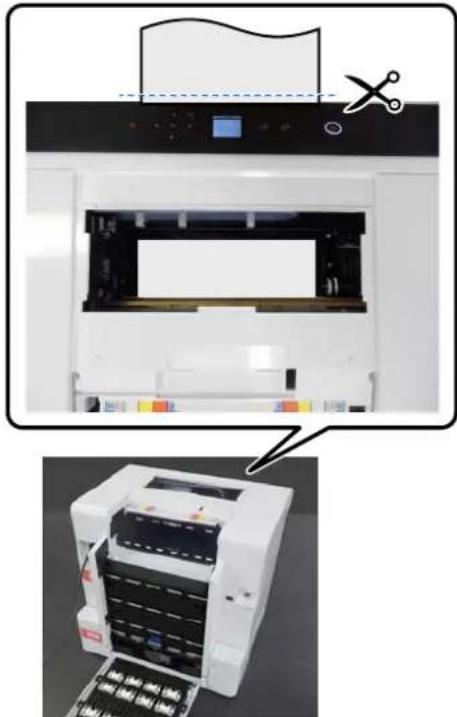EPSON SureLab SL-D1000 - Retrait du papier coincé (papier rouleau) - 1