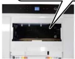 EPSON SureLab SL-D1000 - Important : - 1