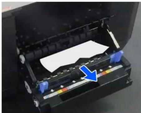 EPSON SureLab SL-D1000 - Si le bord d'attaque du papier rouleau est irrégulier, coupez-le en ligne droite à l'aide d'une paire de ciseaux, par exemple. - 6