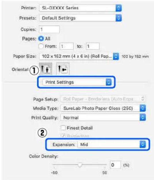 EPSON SureLab SL-D1000 - Imprimer à l'aide de diverses fonctions d'impression - 2