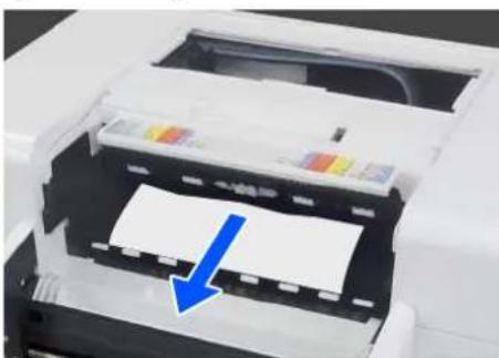 EPSON SureLab SL-D1000 - Retrait du papier coincé (papier rouleau) - 2