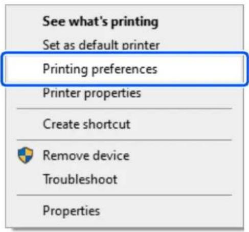 EPSON SureLab SL-D1000 - 2 - 1