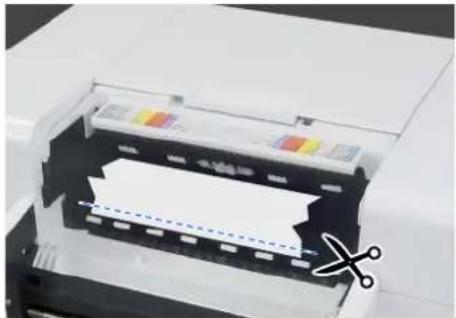 EPSON SureLab SL-D1000 - Retrait du papier coincé (papier rouleau) - 2