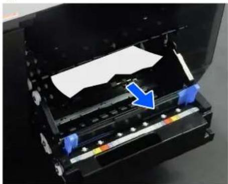 EPSON SureLab SL-D1000 - Si le bord d'attaque du papier rouleau est irrégulier, coupez-le en ligne droite à l'aide d'une paire de ciseaux, par exemple. - 4