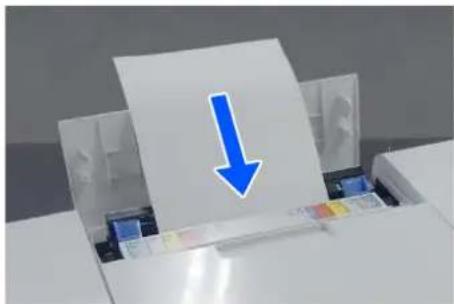 EPSON SureLab SL-D1000 - 1 - 3