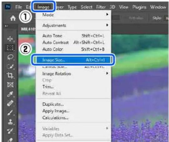 EPSON SureLab SL-D1000 - 3 - 1