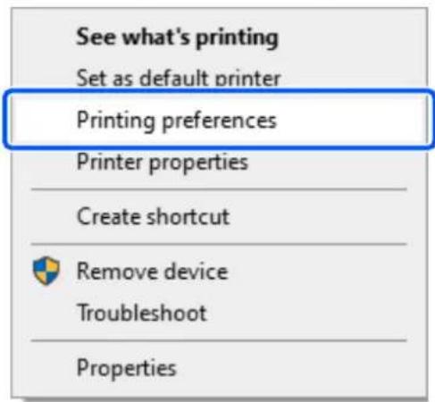 EPSON SureLab SL-D1000 - Paramètres dans Windows - 1