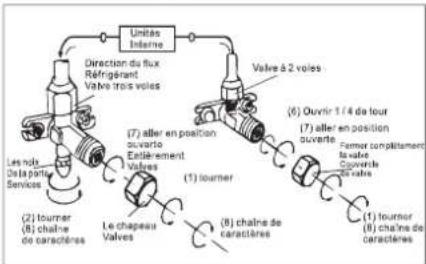 TCL S09P5S0 - SAIGNEMENT - 2