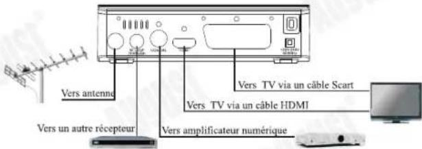 August DVB400 - Connection - 1