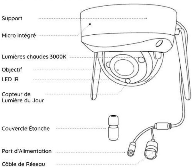 REOLINK RLC-840WA - REMARQUE: - 1