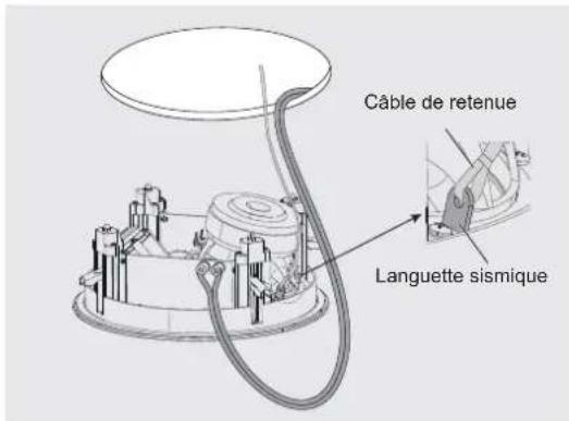 Câble de retenue Languette sismique