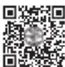 Klein Tools TI290 - On your device: - 1