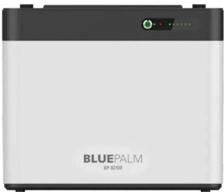 BLUEPALM BP-B2500 - Impianto di accumulo di energia per balconi - 1
