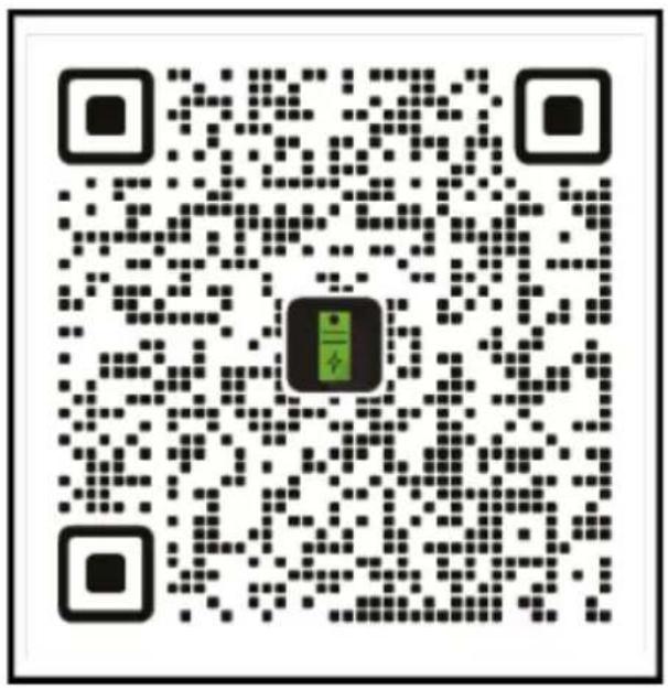 BLUEPALM BP-B2500 - Registrering: - 1