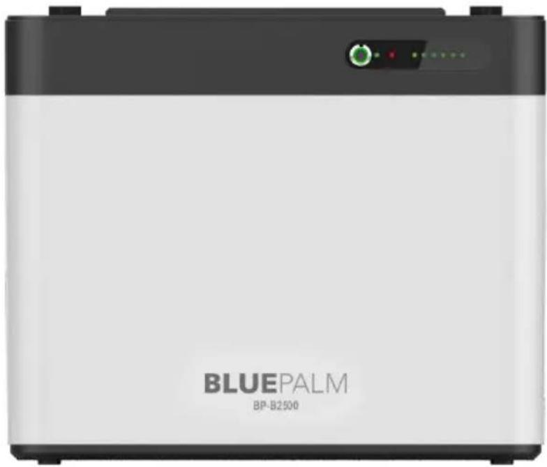 BLUEPALM BP-B2500 - Balkonkraftwerkspeicher - 1