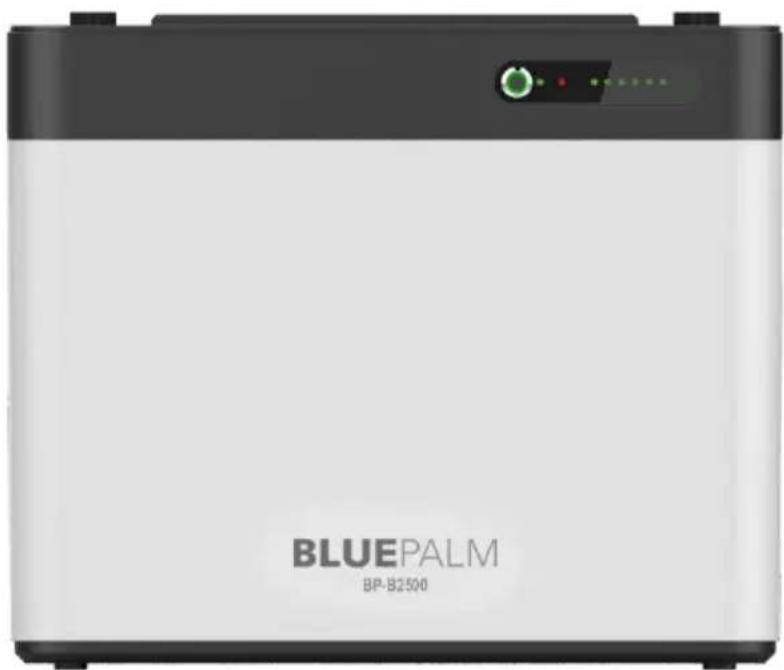 BLUEPALM BP-B2500 - Balkoncentrale-opslagsysteem - 1
