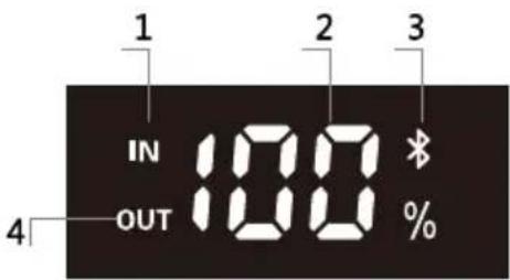 Be Cool BC296NCM - Anleitung zum LED-Display - 1