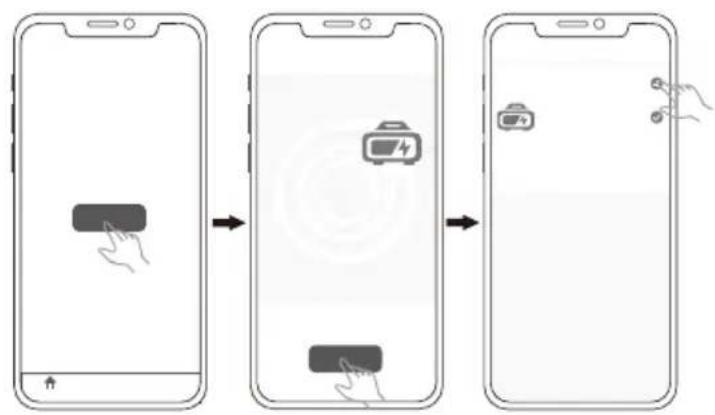 BLUEPALM BP-300OK - APP Instructions - 2