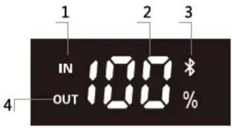 BLUEPALM BP-300OK - Anleitung zum LED-Display - 1