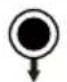 BLUEPALM BP-300OK - Specifiche tecniche - 7
