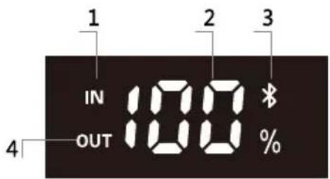 BLUEPALM BP-300OK - LED Screen Instructions - 1