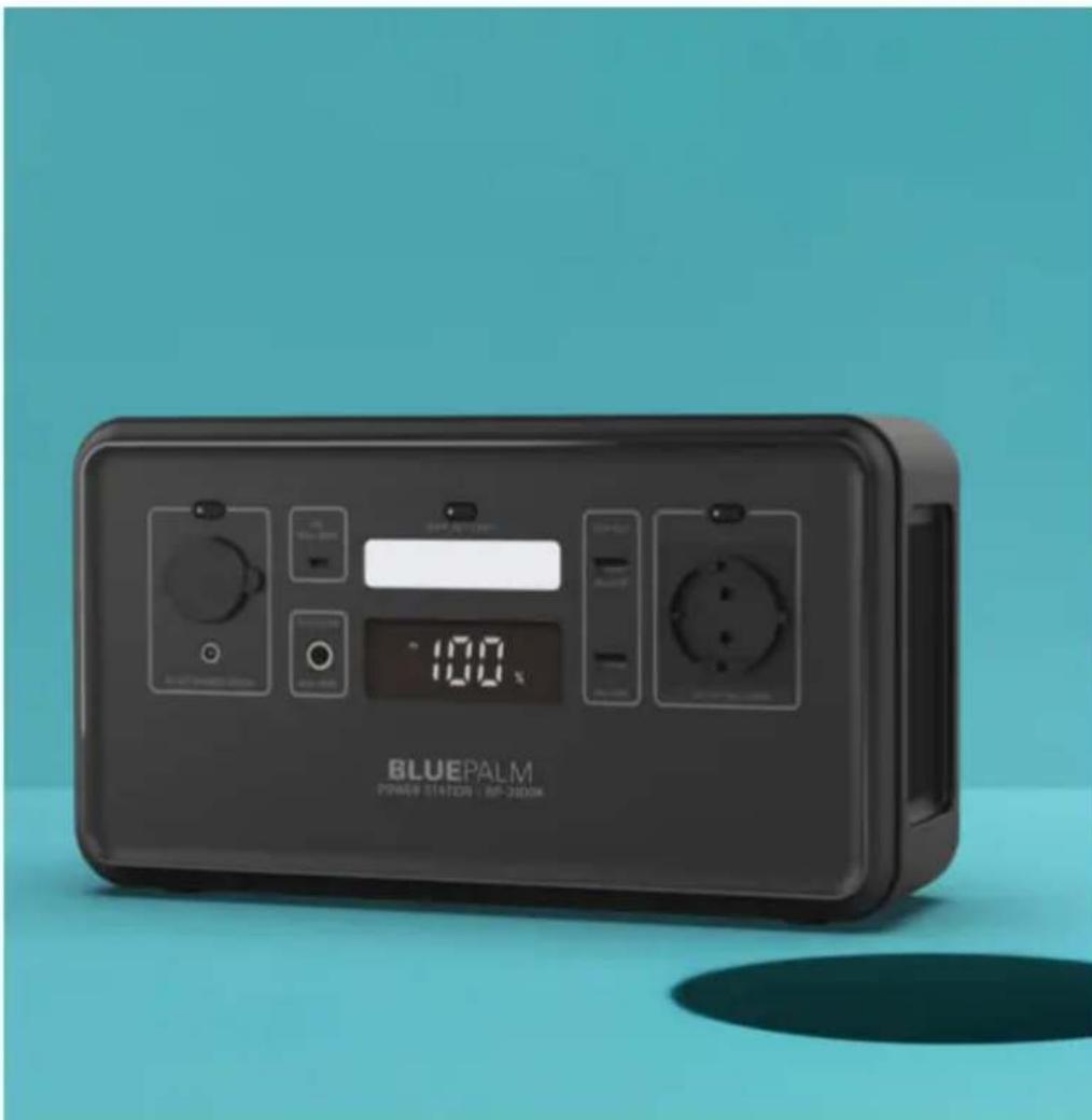 BLUEPALM BP-300OK - Disclaimer - 1