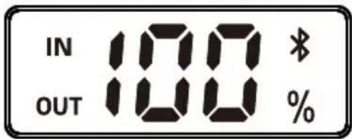 BLUEPALM BP-300OK - Ausgang - 1