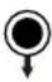 BLUEPALM BP-S500F - BLUEPALM - 7