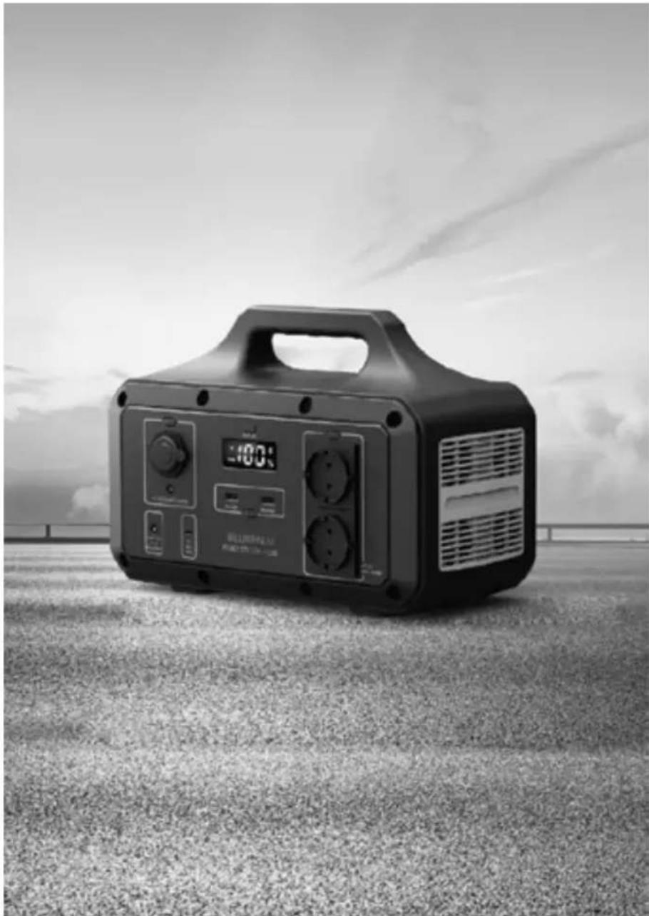 BLUEPALM BP-S500F - Disclaimer - 1