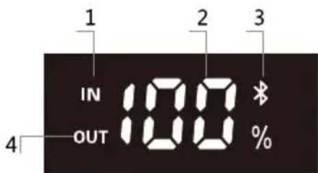 BLUEPALM BP-S500F - LED Screen Instructions - 1