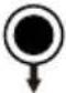 BLUEPALM BP-S2000F - Technische Daten - 6