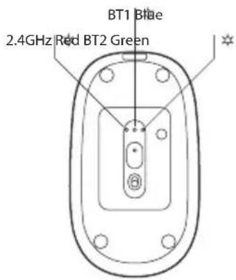NGS Shell RB - DPI - 2