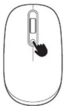 NGS Shell RB - DPI - 1