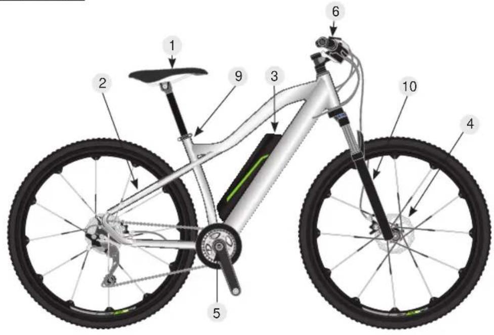 TELEFUNKEN Kompakt F810 - Mountain bike - Hardtail - 1