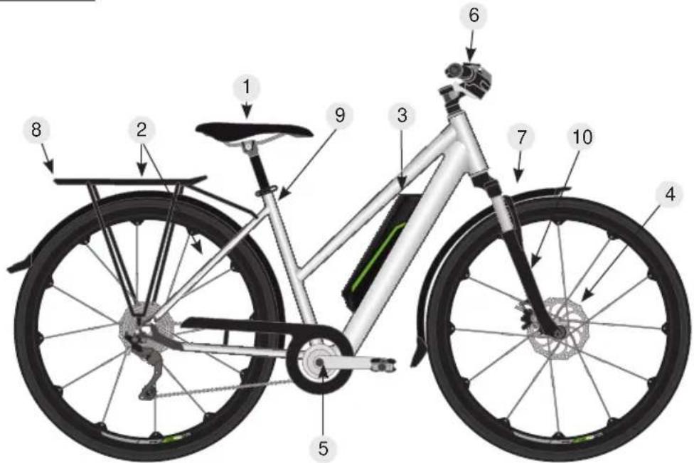 TELEFUNKEN Kompakt F810 - Trekkingrad - Damen - 1